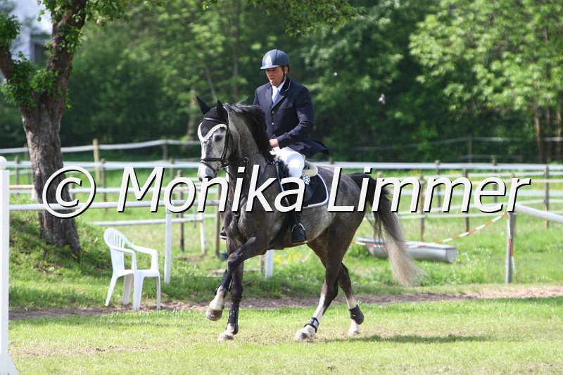 005M6514_Raeuber_Springpferde L.JPG